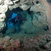 Roncadoers Del Faro diving tenerife