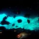 Neptunes cave diving tenerife