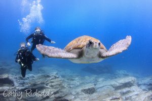 Catherine Ridsdale underwater photography Tenerife Diving Aqua-Marina