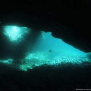Black Cove Tenerife Dive Site