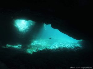 Black Cove Tenerife Dive Site
