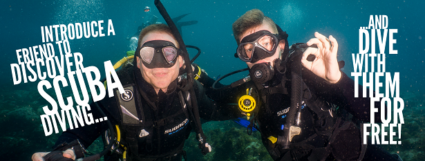 bring a friend discover scuba dive with them free 