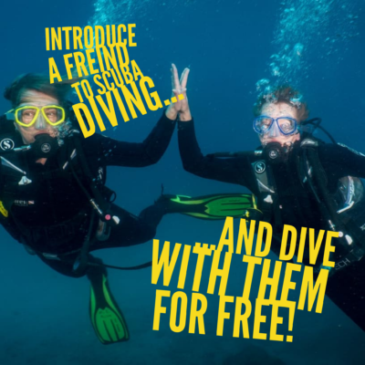 diving tenerife special offer